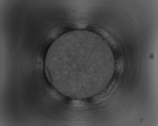 X0000102850568200809081246