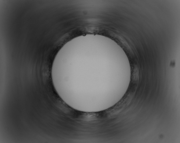 X0000102850569200809081246