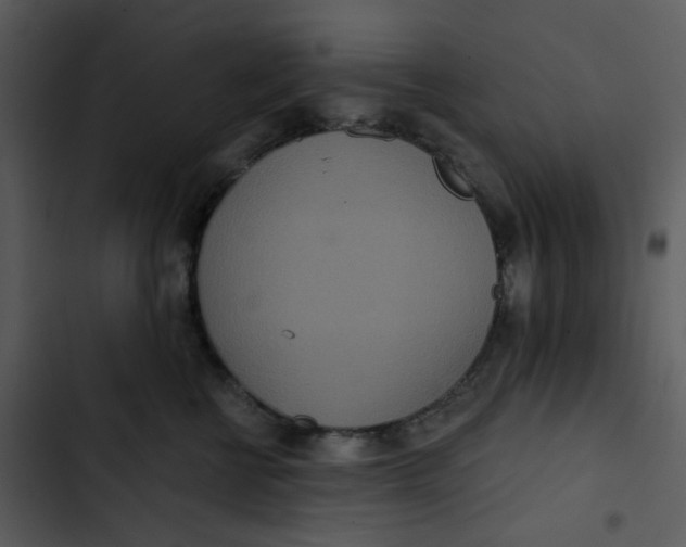 X0000102850570200809081246