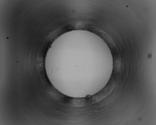 X0000102850571200809081246