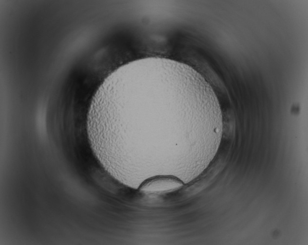 X0000102850573200809081246