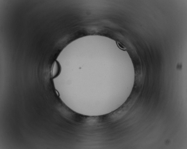 X0000102850574200809081246