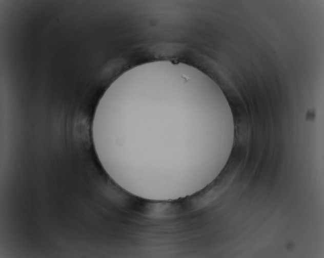 X0000102850575200809081246