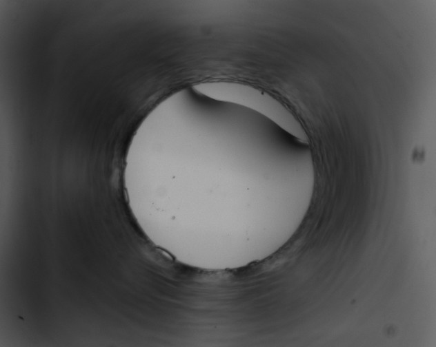 X0000102850576200809081246