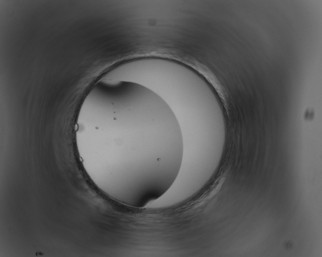 X0000102850577200809081245