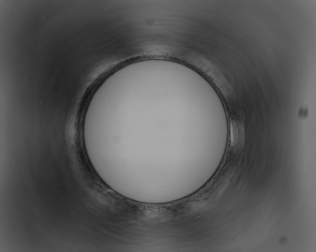 X0000102850579200809081245