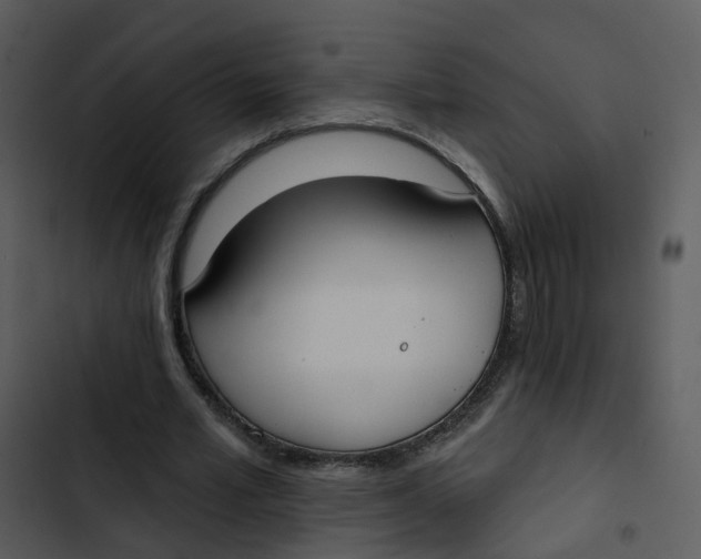 X0000102850581200809081245