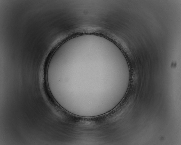 X0000102850582200809081245