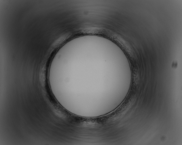 X0000102850586200809081245