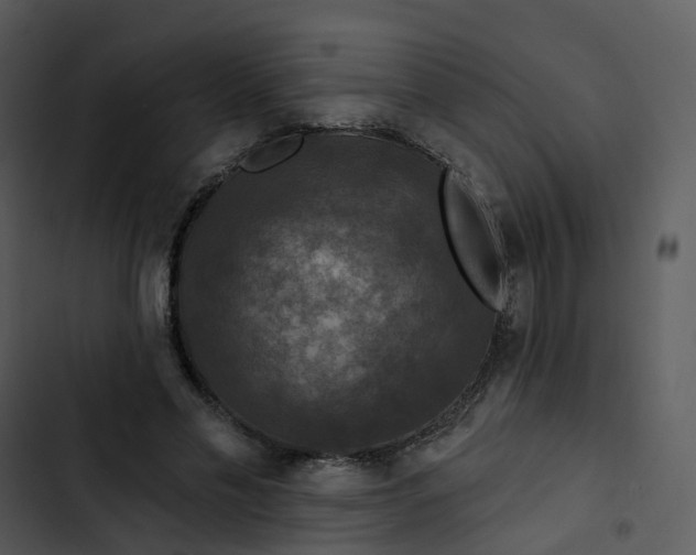 X0000102850589200809081245