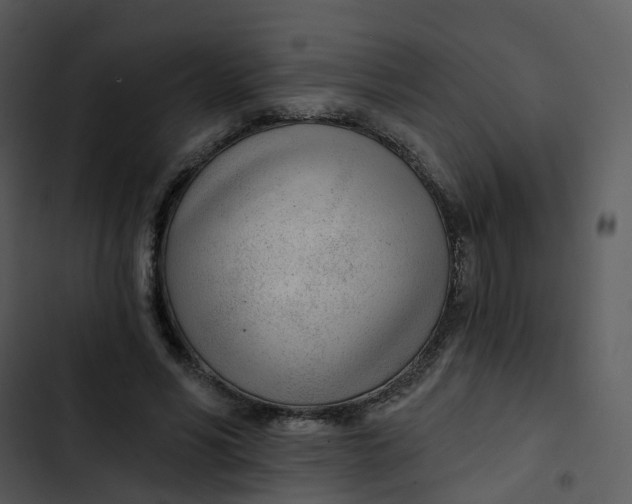 X0000102850590200809081245