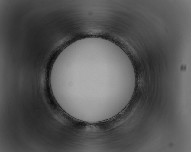 X0000102850591200809081245