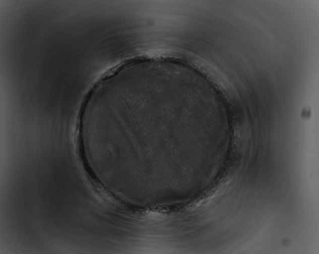 X0000102850592200809081245