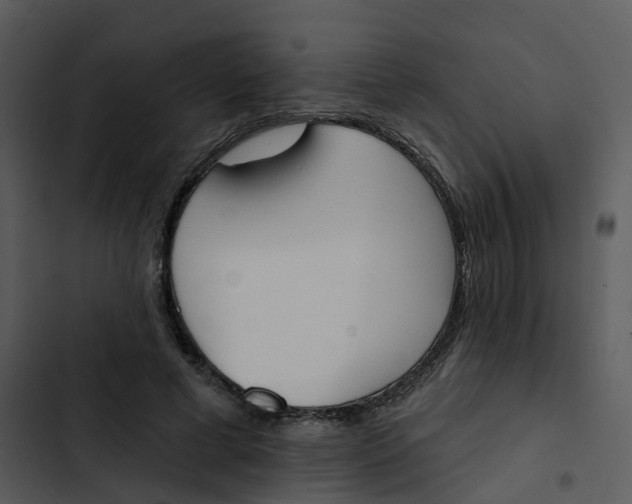 X0000102850593200809081245