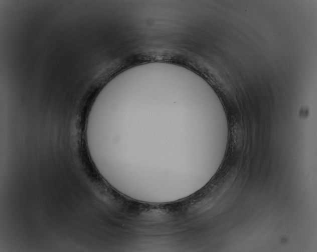 X0000102850594200809081245