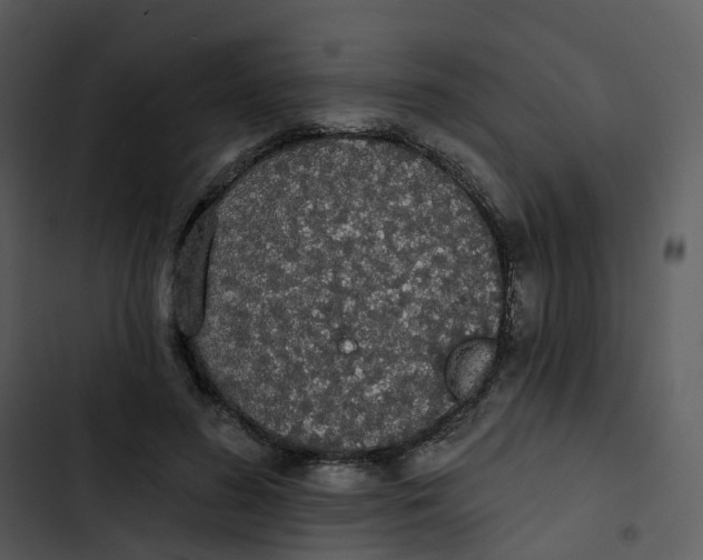 X0000102850596200809081245