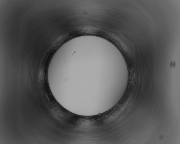 X0000102850597200809081245