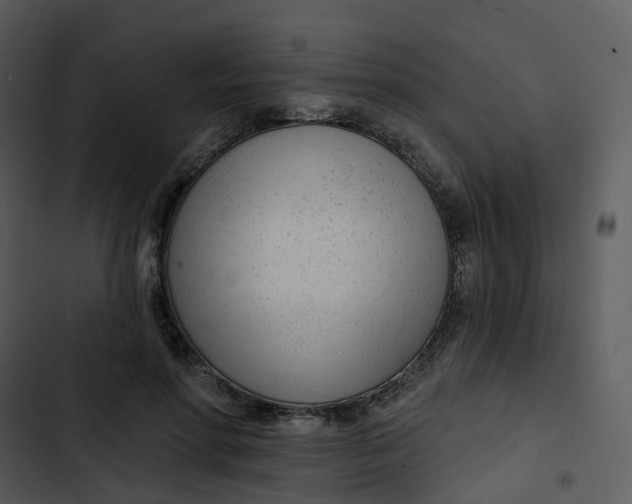 X0000102850598200809081245