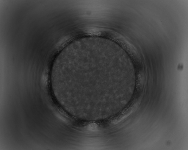 X0000102850600200809081245