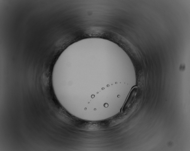 X0000102850604200809081245