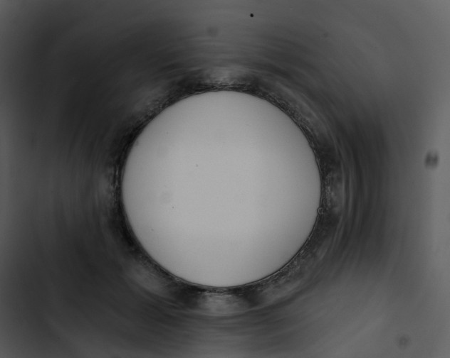 X0000102850605200809081245