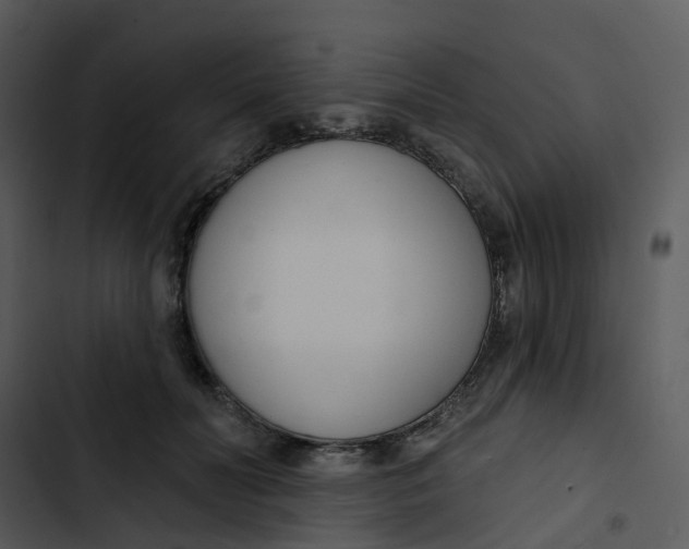 X0000102850606200809081245