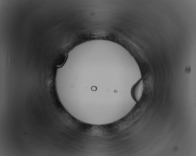 X0000102850608200809081245