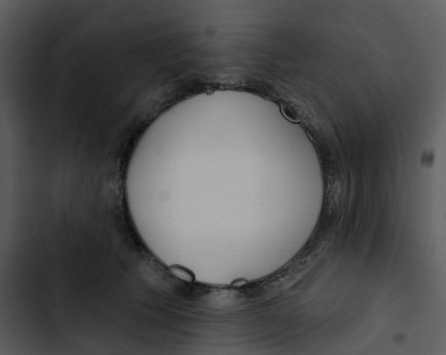 X0000102850609200809081245