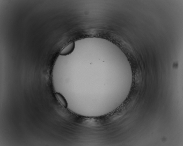 X0000102850611200809081245