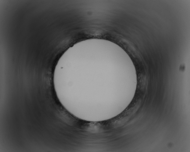 X0000102850612200809081245