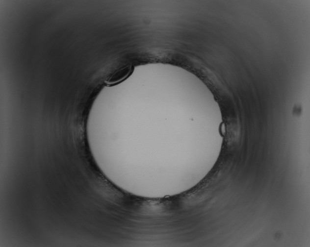 X0000102850613200809081245