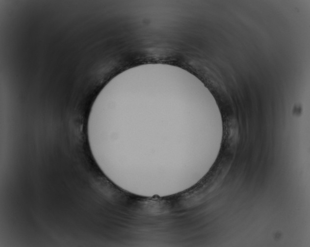 X0000102850615200809081245