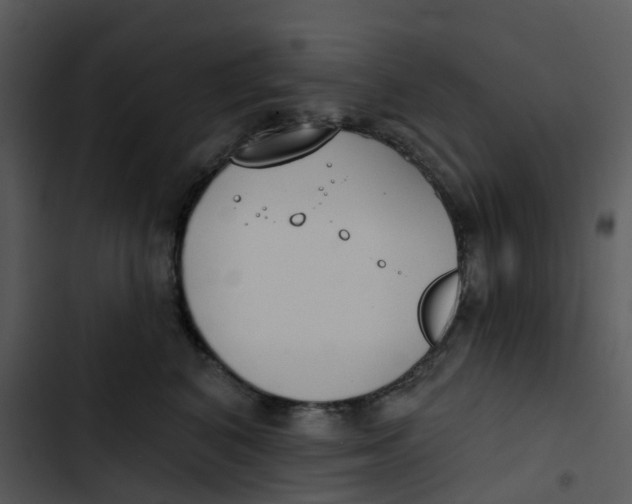 X0000102850616200809081245