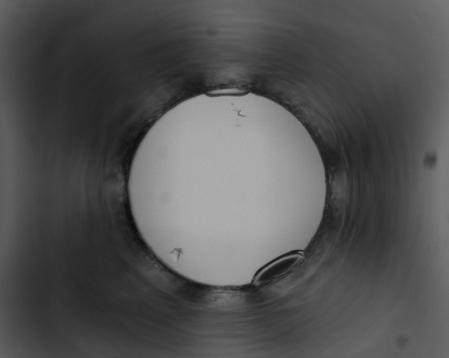 X0000102850617200809081245