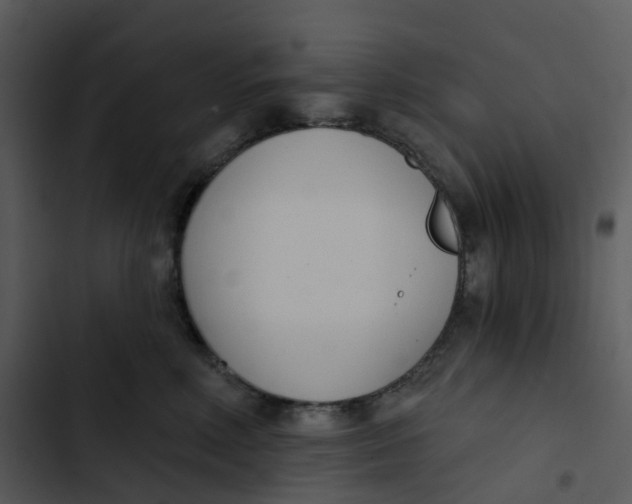 X0000102850618200809081245