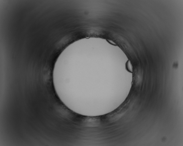 X0000102850619200809081245