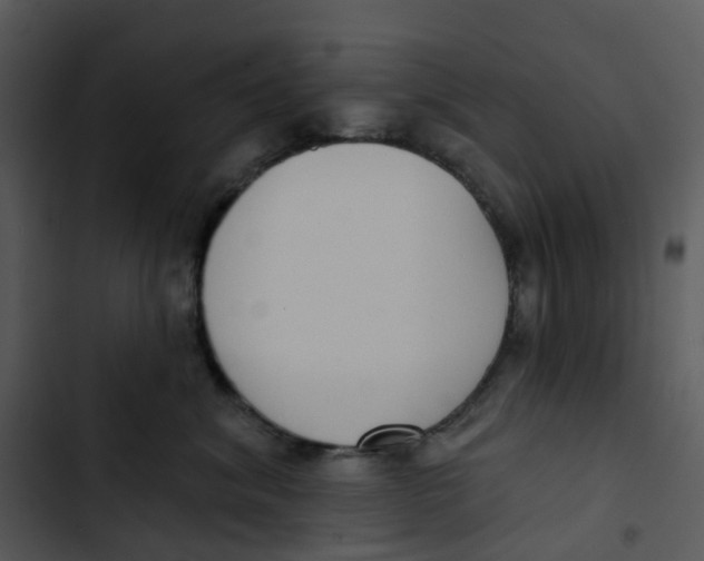 X0000102850620200809081245