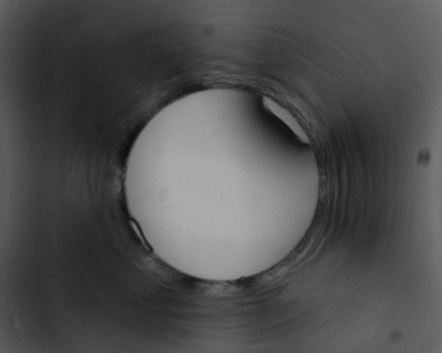 X0000102850621200809081245