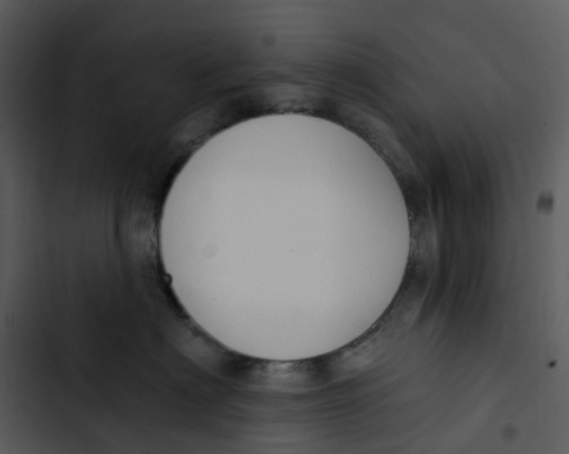 X0000102850622200809081245