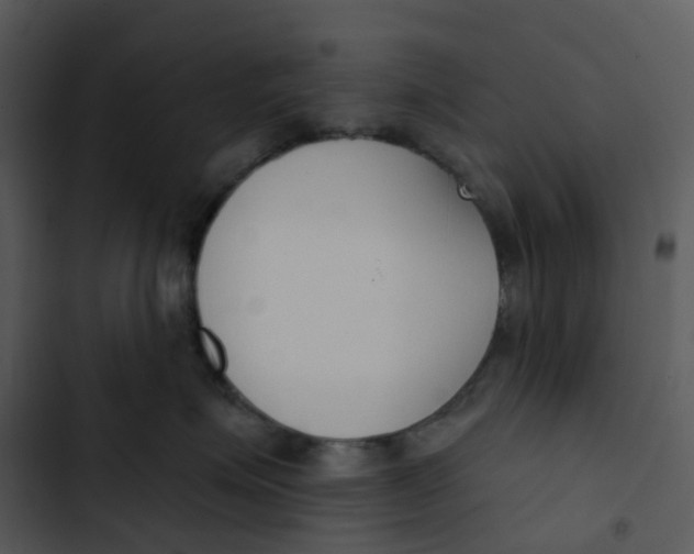 X0000102850623200809081245