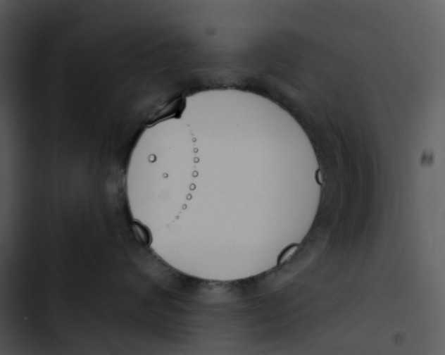 X0000102850624200809081245