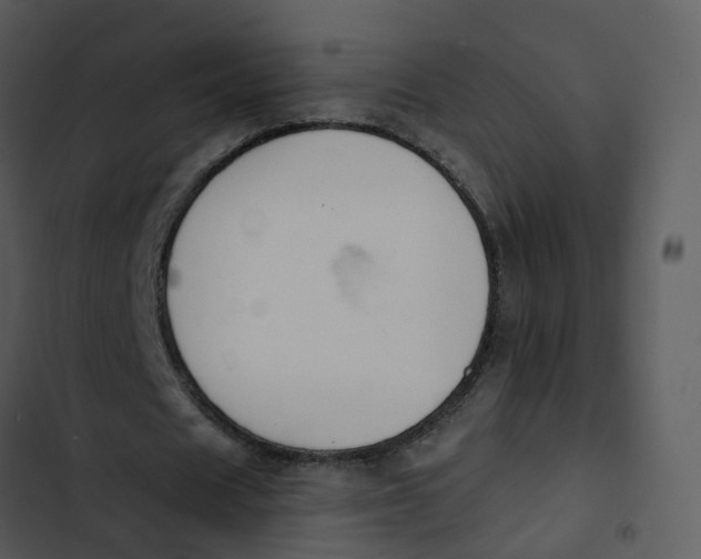 X0000102850625200809081244