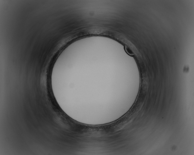 X0000102850626200809081244