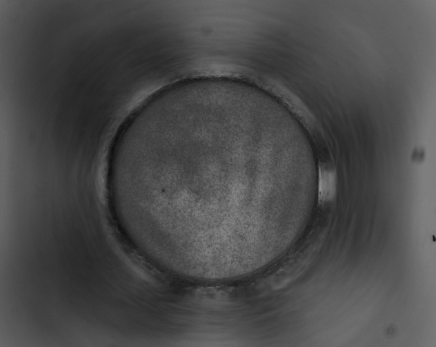 X0000102850627200809081244