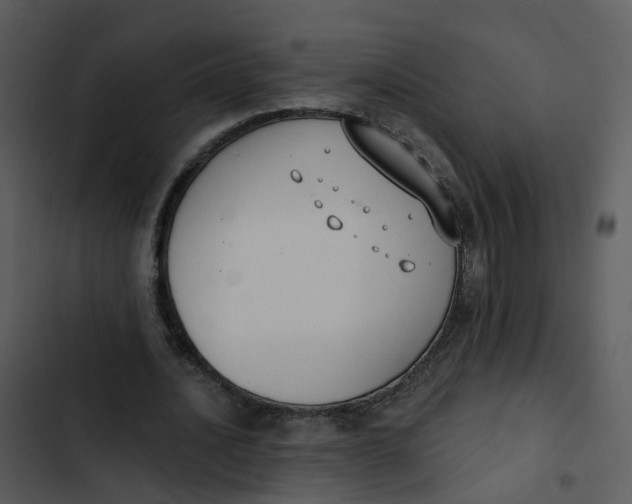 X0000102850628200809081244