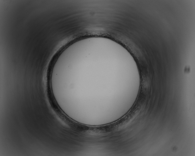 X0000102850630200809081244