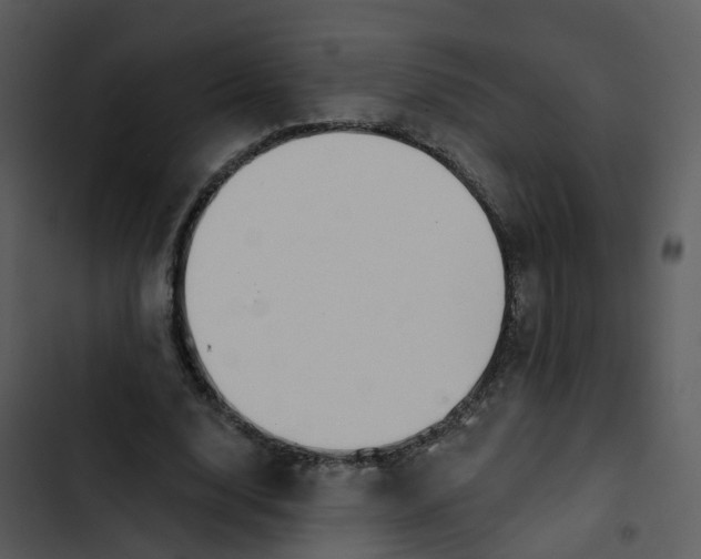 X0000102850632200809081244