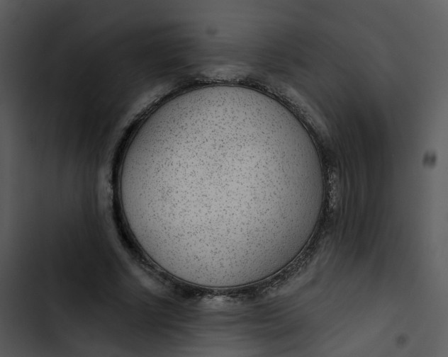 X0000102850634200809081244