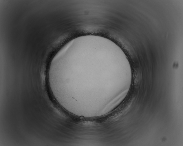 X0000102850637200809081244