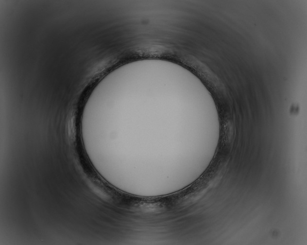 X0000102850638200809081244